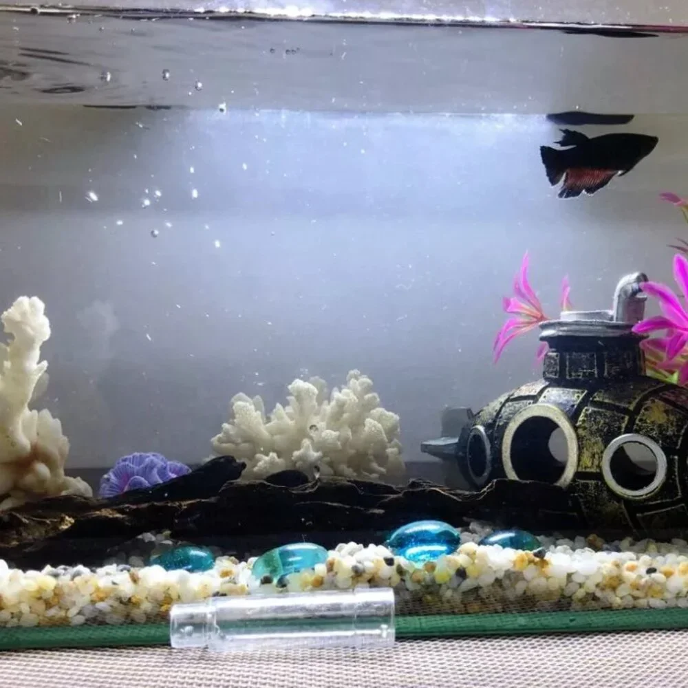 Aquarium decoration model